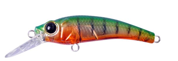 Mad Dog’s new litter